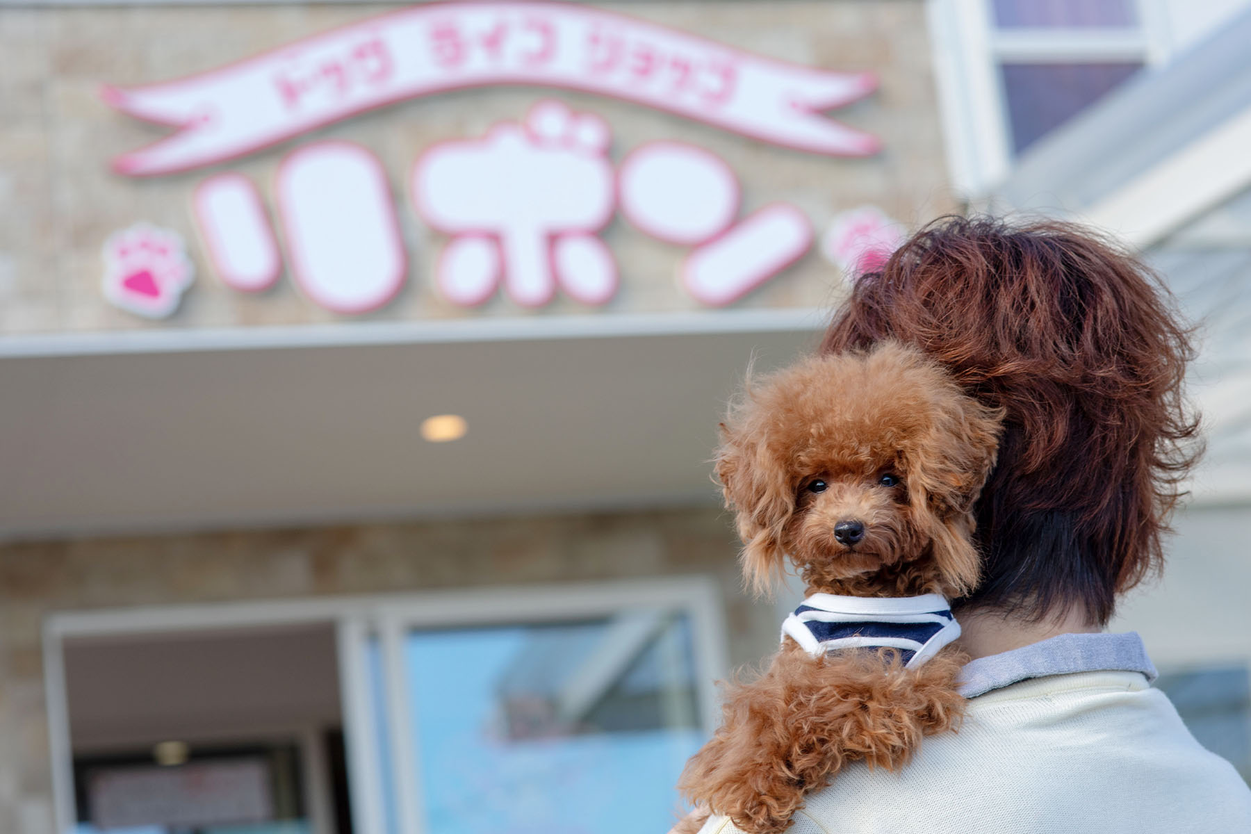 ドッグサロン「 Doglife Shop Ribbon 」 