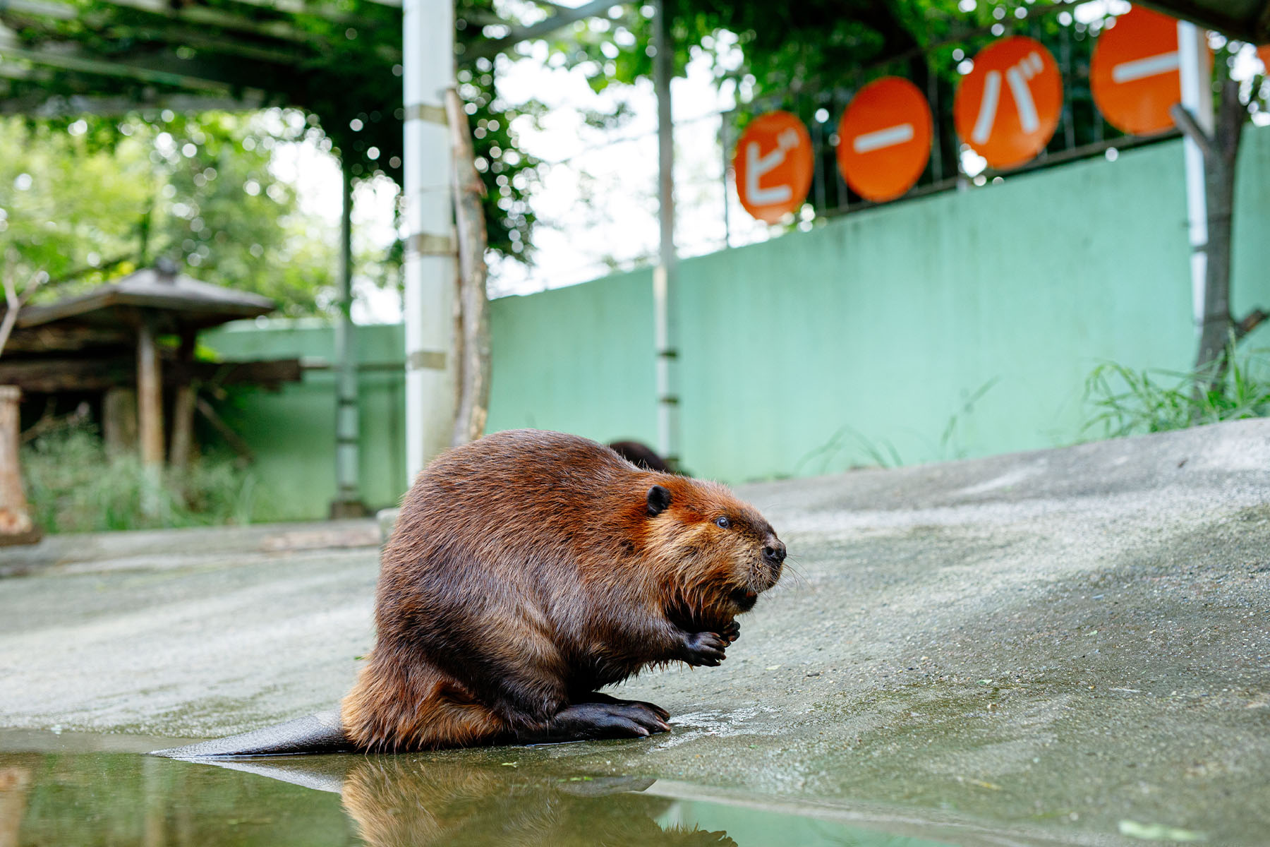 飯田市立動物園