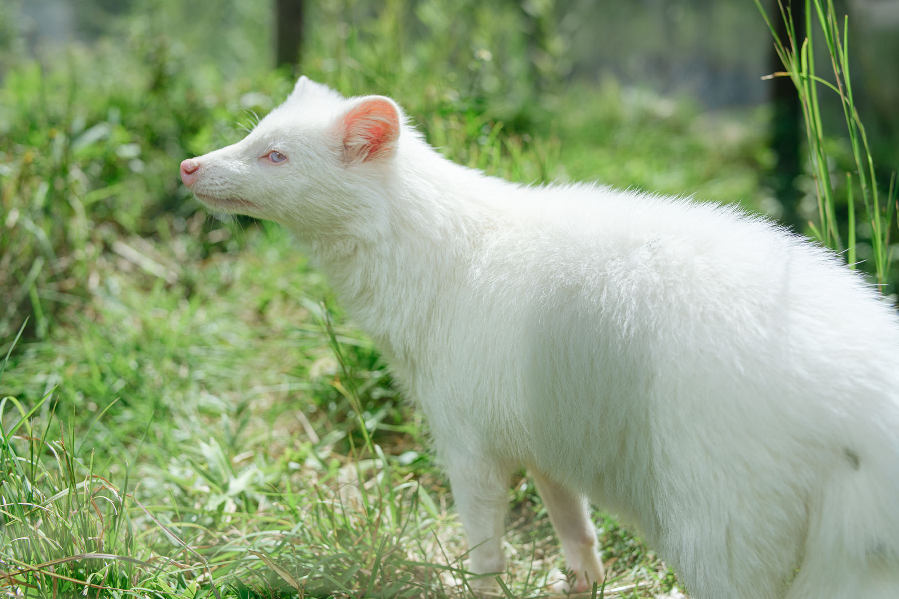 飯田市立動物園