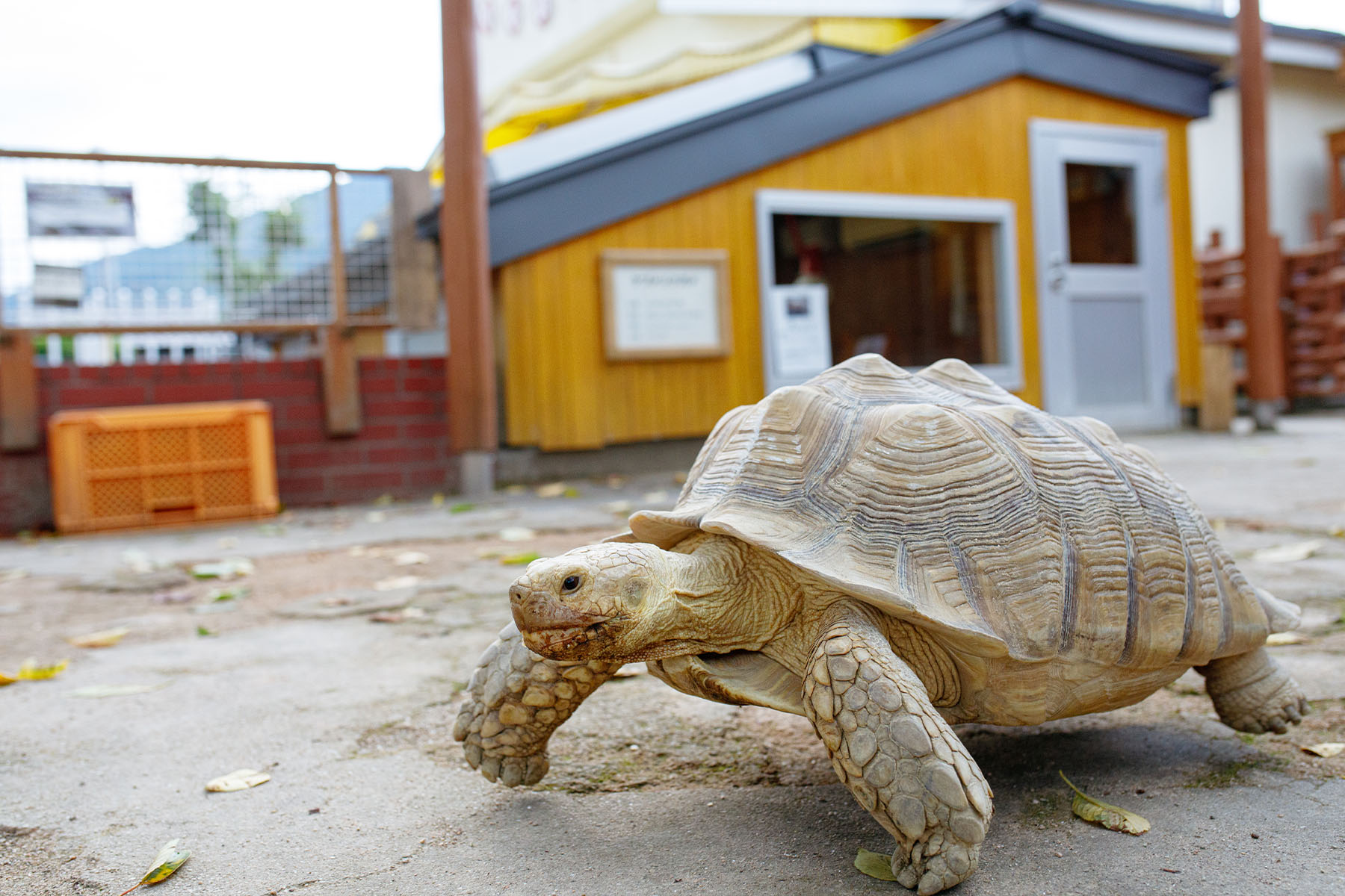 飯田市立動物園