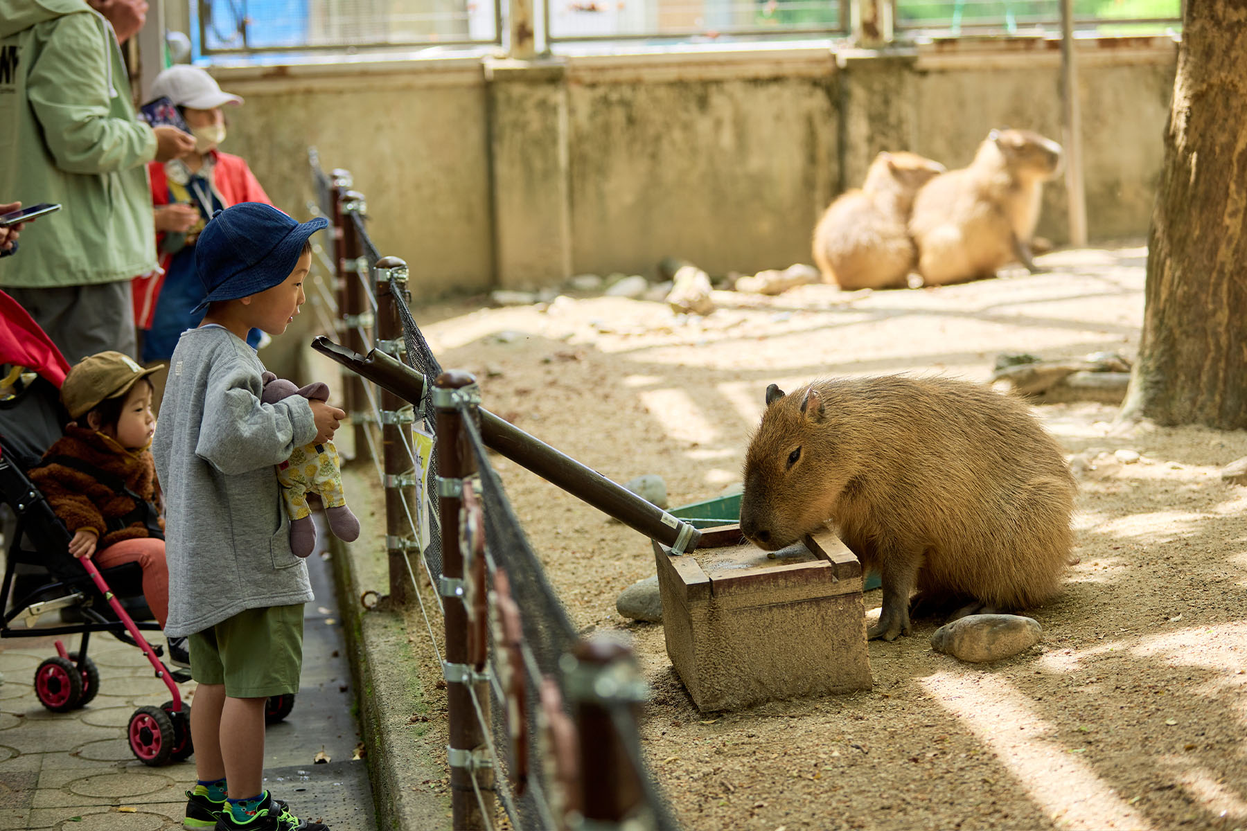 飯田市立動物園